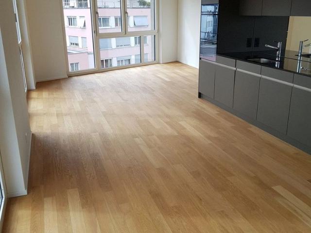 2.5 Zimmer, 95 m², 4. Stock