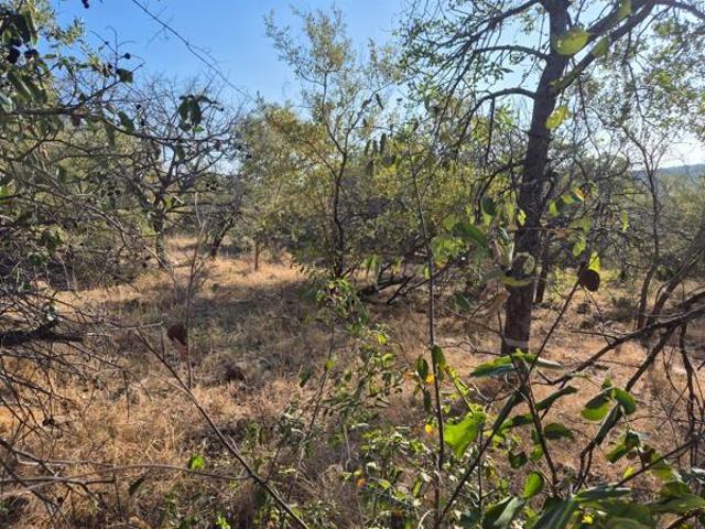 2 630 m² Land available in Elephant Rock Eco Estate