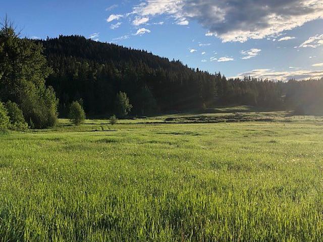 2.6 Acres By Pristine Canim Lake