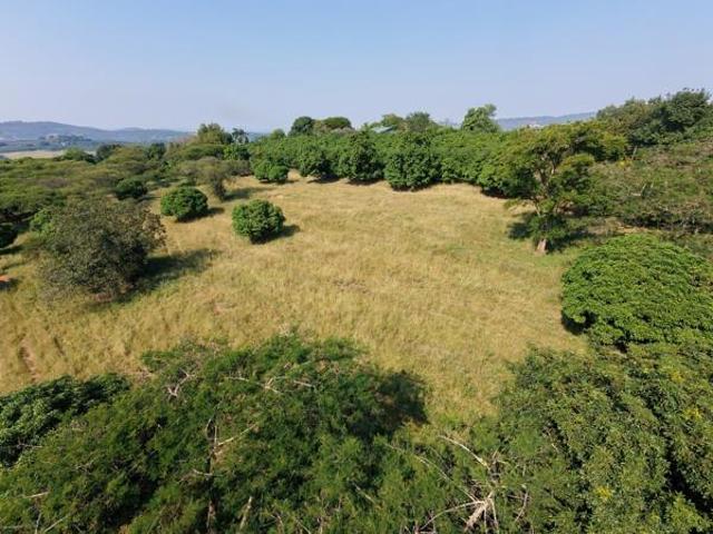 2.6 ha Land available in Tzaneen