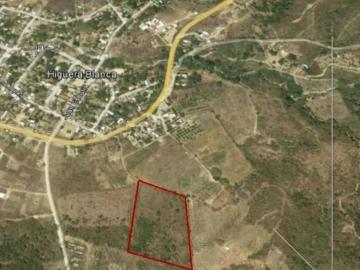2.76 HAS EN VENTA EN HIGUERA BLANCA, BAHIA DE BANDERAS, NAYARIT. $3,700 MXN POR M2