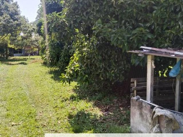 2.712476 acres Durian Farm at Temoh, Tapah
