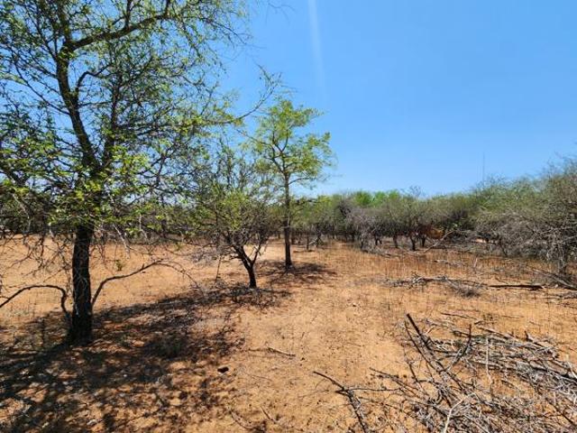 2 800 m² Land available in Marloth Park