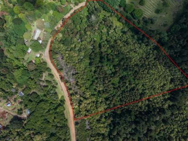 2.8 ha Land available in Hogsback