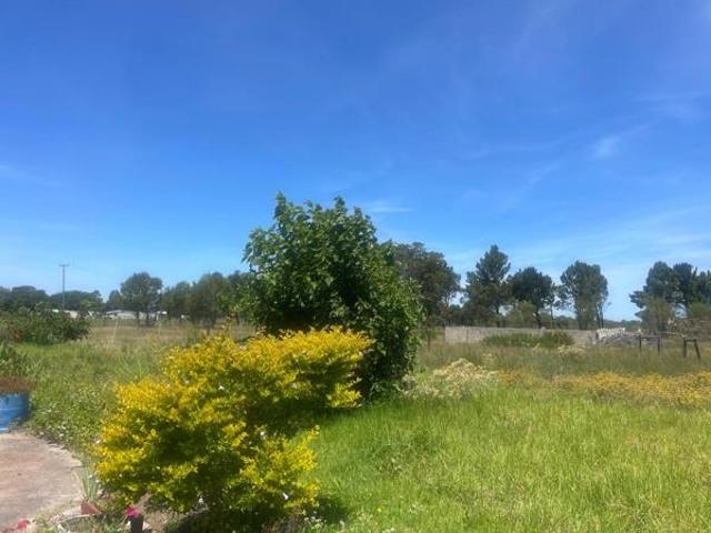2.8 ha Land available in Port Elizabeth Central