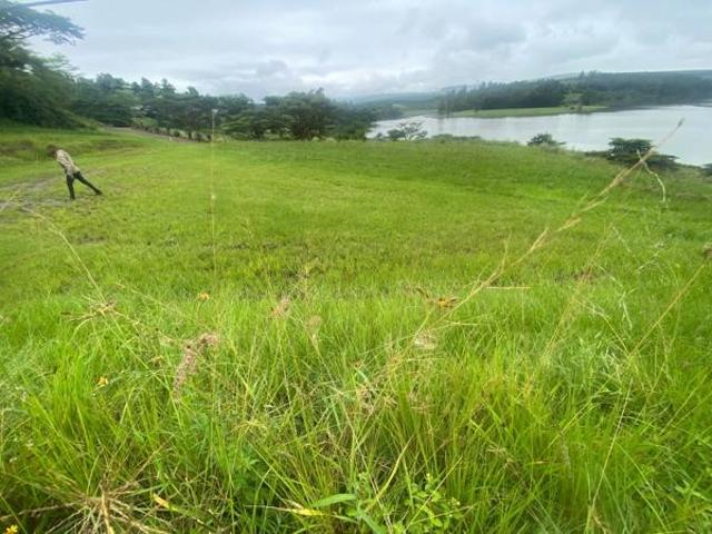 2 973 m² Land available in Albert Falls