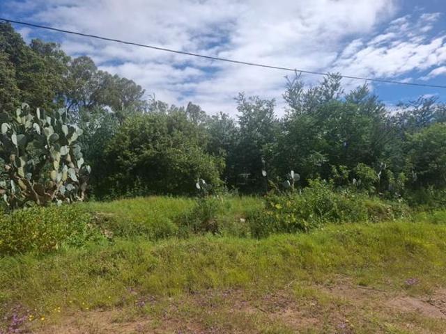 2 974 m² Land available in Paul Roux