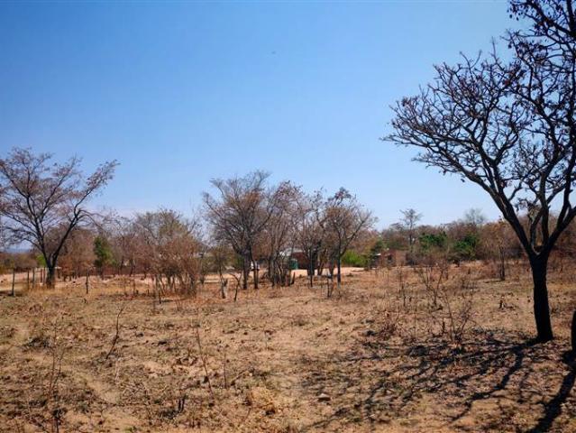 2 974 m² Land available in Vaalwater