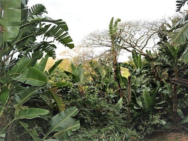 2 915 m² Land available in Sea Park