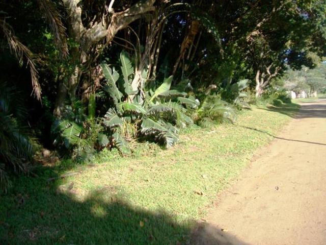 2 916 m² Land available in Palm Beach
