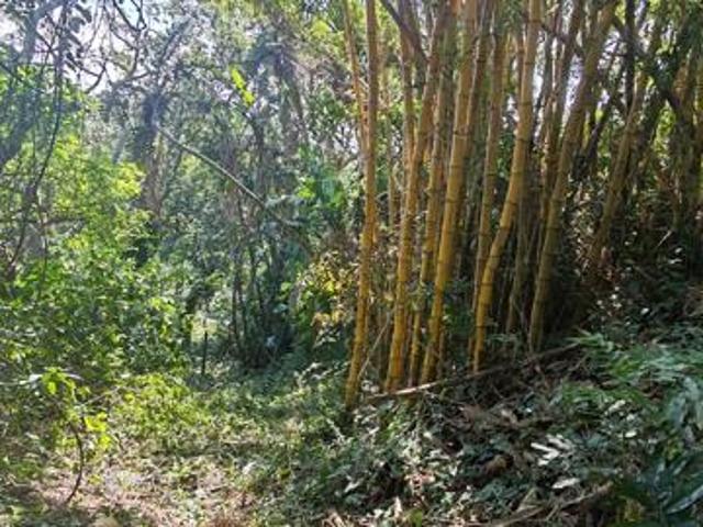 2 916 m² Land available in Umtentweni