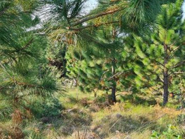 2 919 m² Land available in Palm Beach