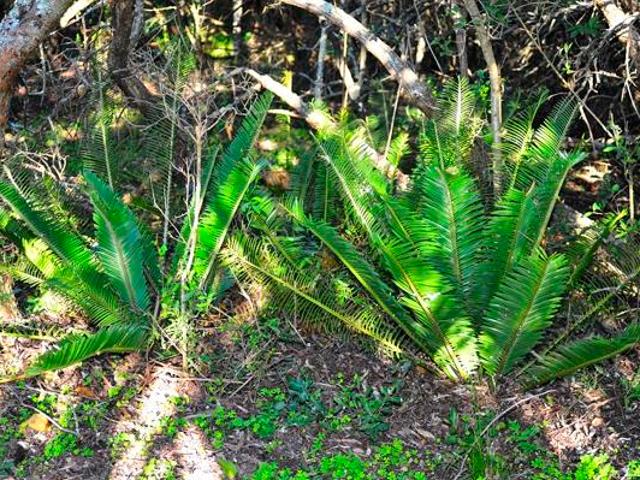 2 920 m² Land available in Kabeljous