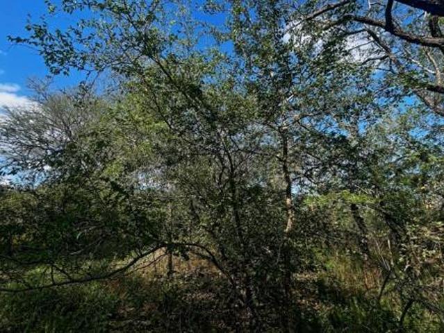 2 934 m² Land available in Marloth Park