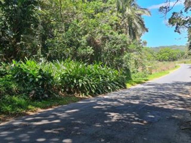 2 936 m² Land available in Palm Beach