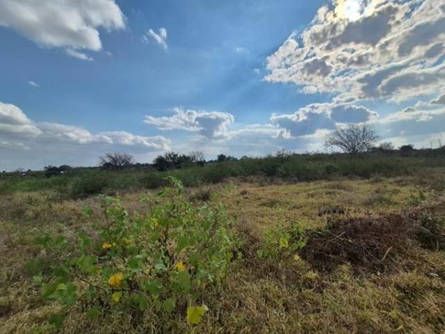 2.9 ha Land available in Phalaborwa