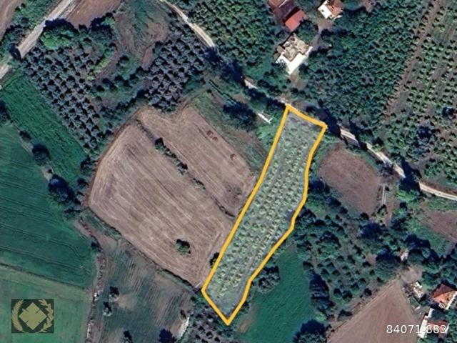 2AyrıVillalık 2900m2 Köyiçi Arsa OrtaköyPaşalı