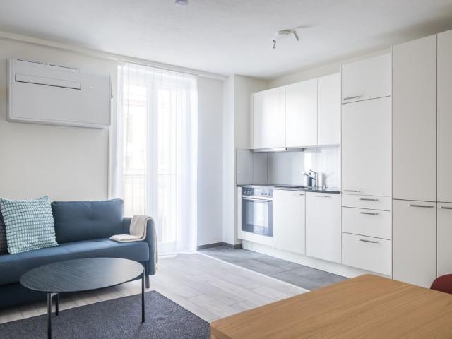 2min zum HB möblierte 3.5 Zimmerwohnung