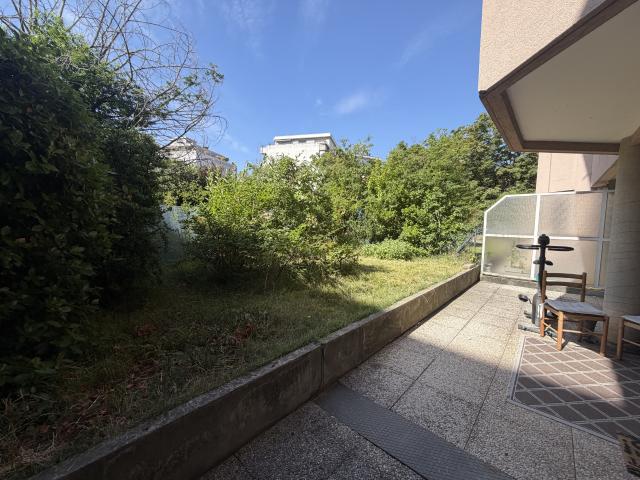 2P+C REZ DE JARDIN MARCELLIN BERTHELOT