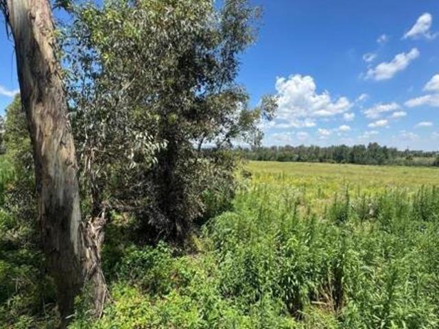 33.6 ha Land available in Blue Saddle Ranches
