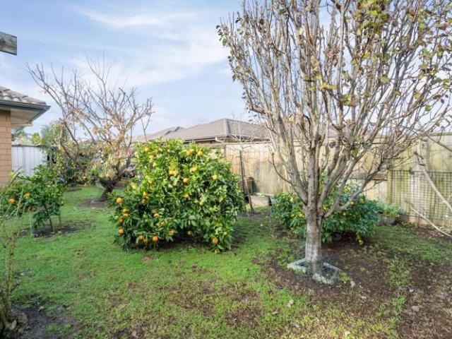33 Carrington Drive, Papamoa Beach, Tauranga
