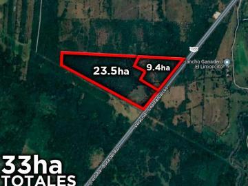 33 HECTÁREAS EN VENTA EN MATA DE PITA VERACRUZ | ARLETTE FLORES