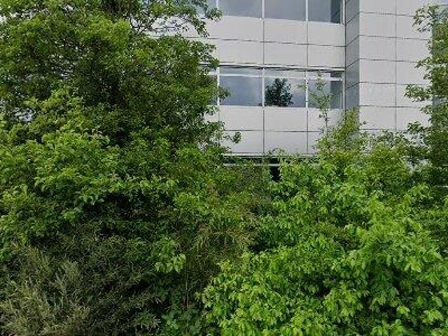 33 m2 office space for rent in Amsterdam Noord