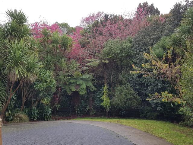 ['33b Esk Street']Parkvale