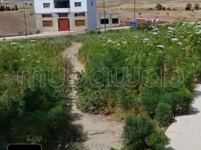 3000 dh m2, Terrain Titré Sidi hssain 1900M²