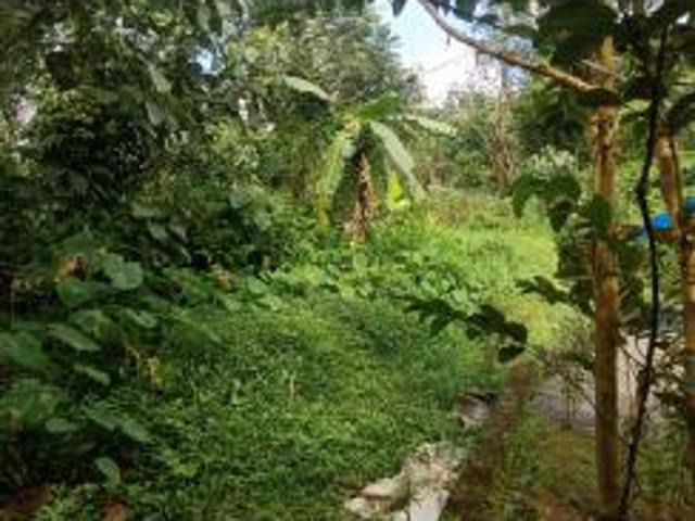 3000 Sq. ft Plot for Sale in Muvattupuzha, Kochi