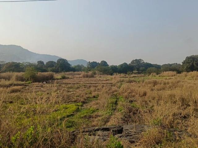 3000 Sq.Ft. Plot in Palaspe Phata Navi Mumbai Listing ID: #9964