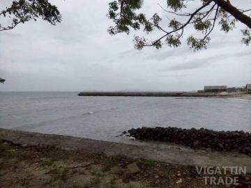 300 sq Beach lot Guimaras