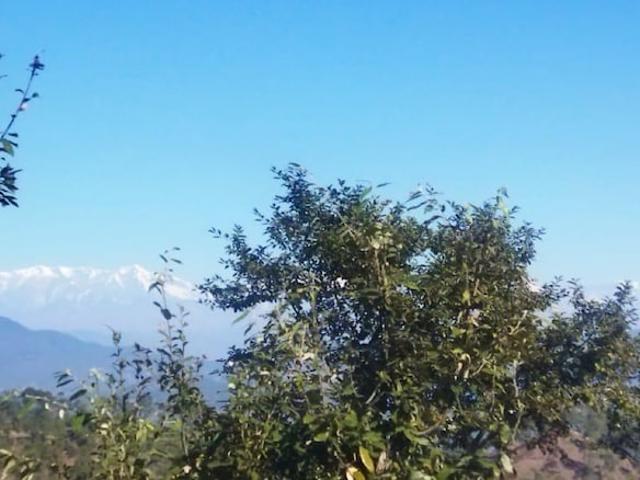 300 Sq.Yd. Plot in Lamgara Almora Listing ID: #9624