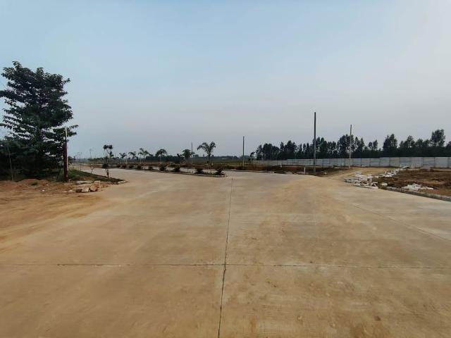 300 Sq.Yd. Plot in Lalru Mohali Listing ID: #10382