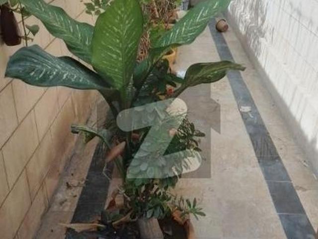300sq yards, Single story, Bunglow for sale, DHA Phase 1