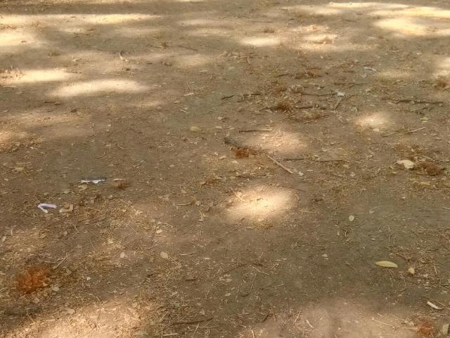 3017 Sq.Ft. Plot in Manish Nagar Nagpur Listing ID: #9927