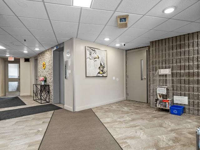 301 17 Eldon Hall Place 3 Bedroom Apartment for Rent at 17 Hallgate Apartments, Kingston, ON K7M 7H5 Polson Park