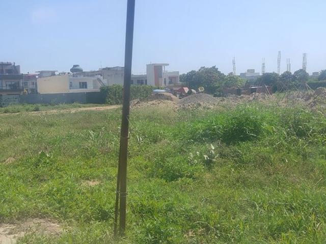 301 Sq.Yd. Plot in Mullanpur Chandigarh Listing ID: #10088