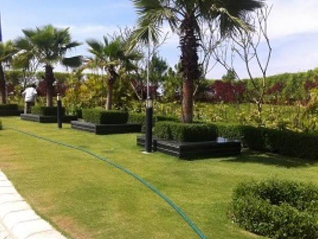 301 Sq.Yd. Plot in Mullanpur Chandigarh Listing ID: #10116