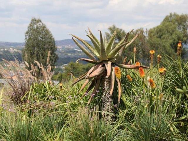 302 m² Land available in Potchefstroom Central