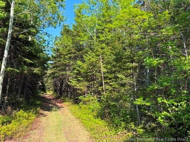 305 Haut Lameque, NB, E8T 3M9 vacant land for sale | Listing ID NB141765 | Royal LePage