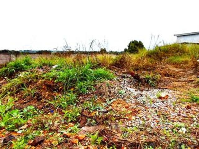 305 m² Land available in Mahlasedi Park