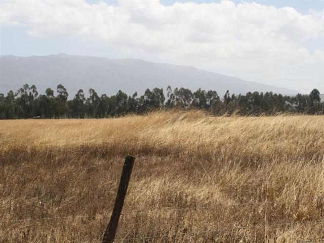 30 Acres For Sale on The Slopes of The Aberdares