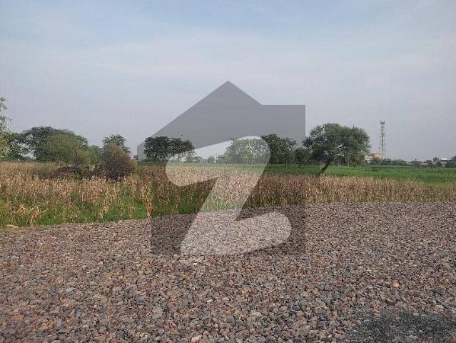 30 Acrs Agricultural Land For Sale Near Nankana Sahib