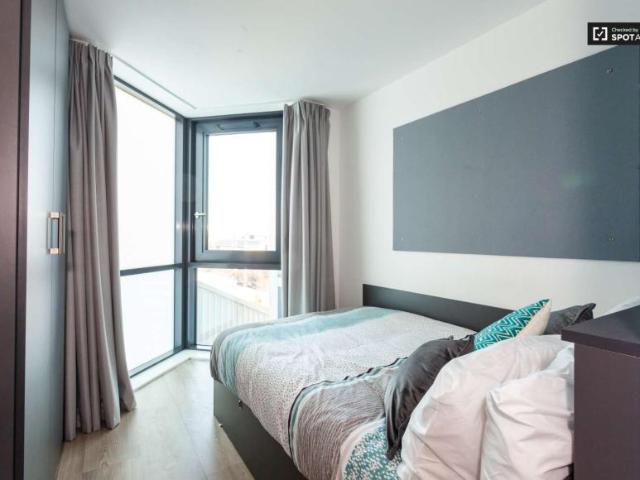 30 Bedroom Apartment Dublin Dublin D01 TY46 101820367