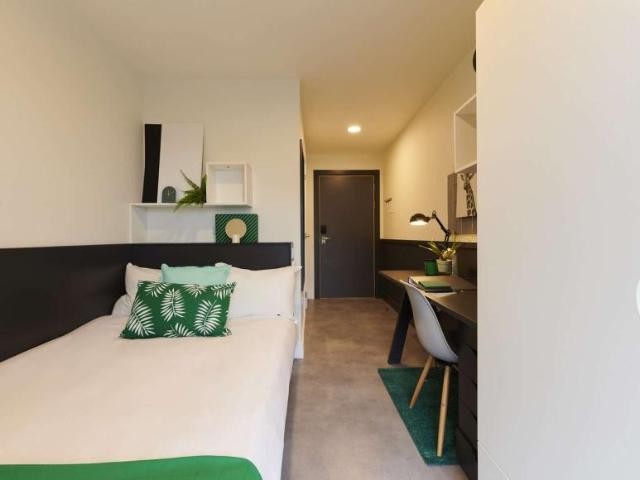 30 Bedroom Apartment Dublin Dublin D01 F6F8 LS101836146