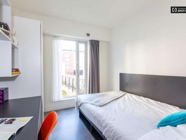 30 Bedroom Apartment Dublin Dublin D01 F6F8 101824293
