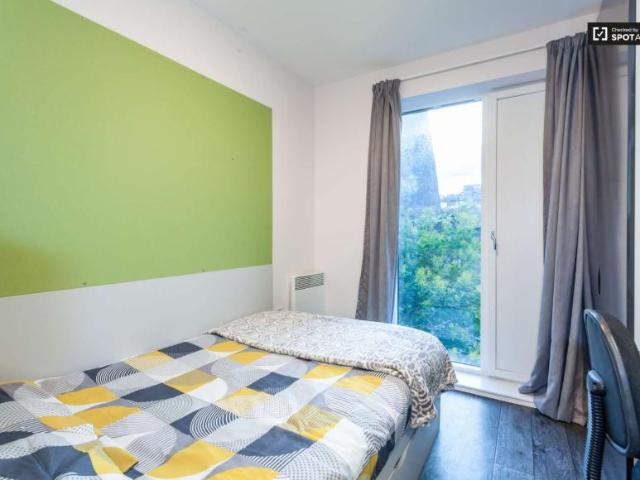 30 Bedroom Apartment Dublin Dublin D08 R596 101823373
