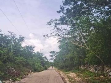 30 HECTAREAS EN MERIDA EN ESQUINA