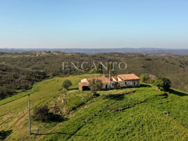 30 hectares com ruína em Ourique 120m² Santana Da Serra